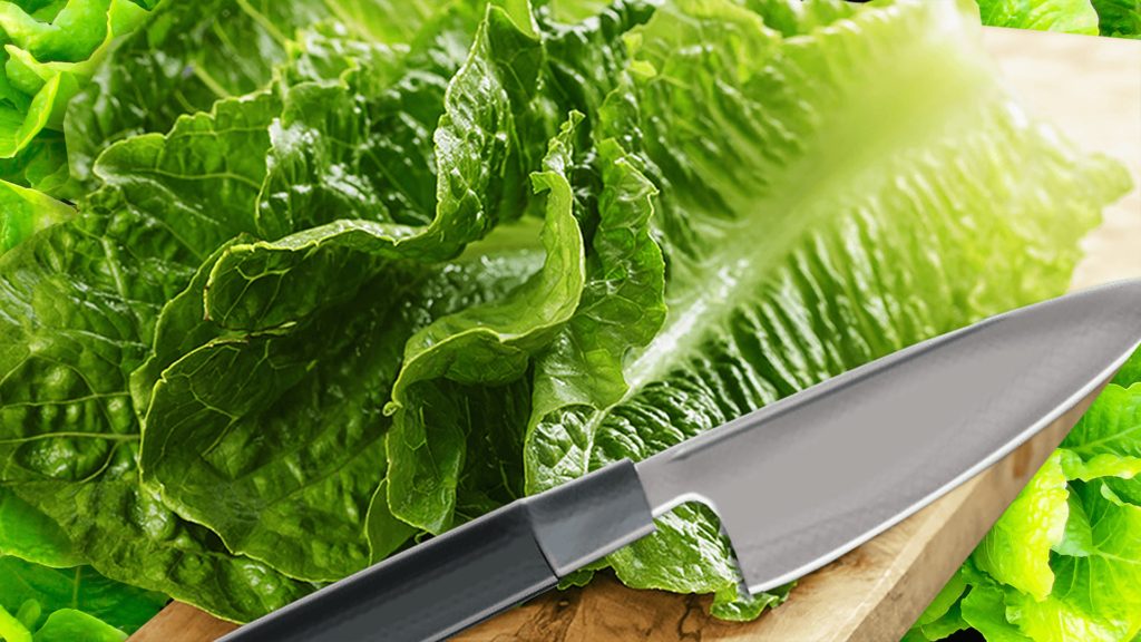 salata iceberg