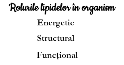 Rolurile lipidelor În organism